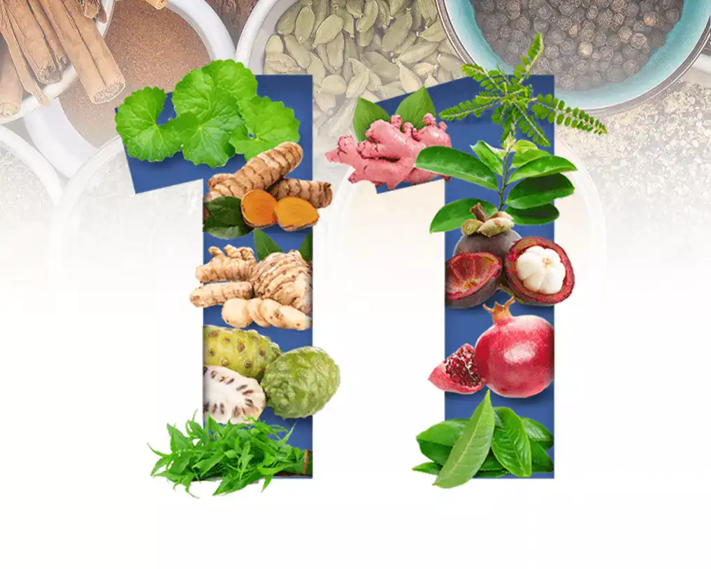 bahan angcanglie ang cang lie